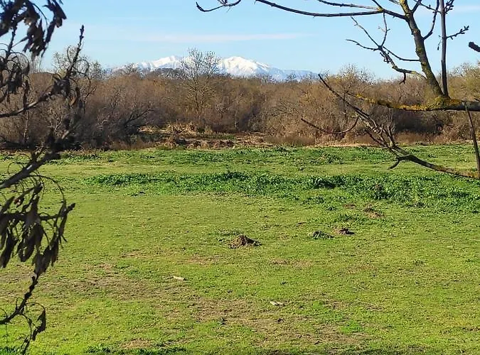 La Siesta * Argelès-sur-Mer