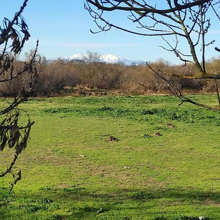 La Siesta * Argelès-sur-Mer